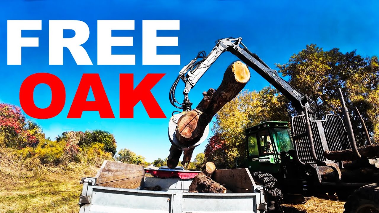 FREE OAK LOGS AND A LOGGING JOB WALKABOUT!