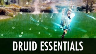 Skyrim Mod: Druid Essentials