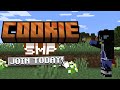 We Made Minecraft S Hungriest SMP Applications Open