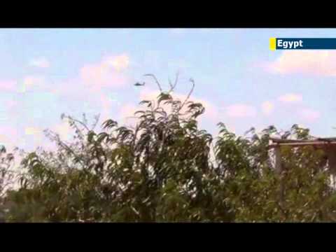 Egypt army kill leading member of Islamist group