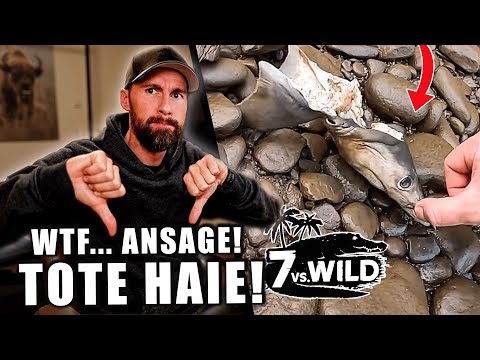 ANSAGE! ERMORDETE HAIE bei 7 VS. WILD! - BIOLOGE reagiert auf Folge 4 | Robert Marc Lehmann