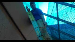 Learn about ny pigeon bird removal and control