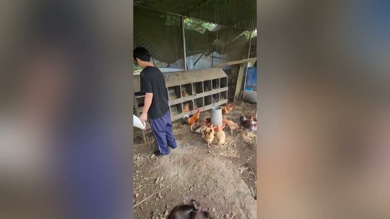 Kris Giankarlo Bejarano-17