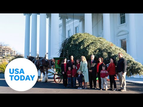 First Lady Jill Biden welcomes official White House Christmas tree USA TODAY