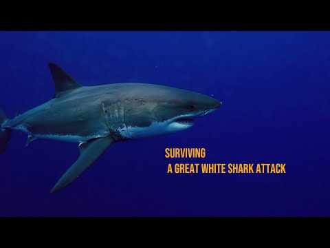 Surviving a Great White Shark — Adam Coons