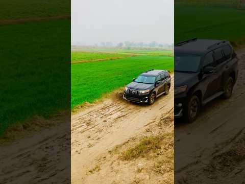 Txl Prado mud off-roading #car #offroad #shorts #trending