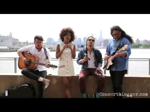 The Tontons - 