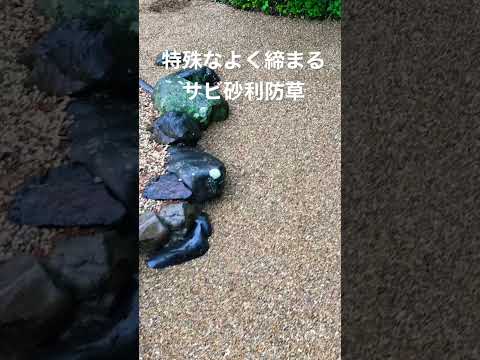 砂利の中の雑草？それらを削除し、再発を防ぐ方法は次のとおりです。  庭園