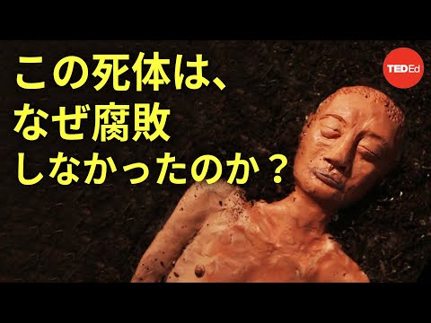 「ニキビ」のある火星: 奇妙なニキビが発見 – 研究者たちは途方に暮れている