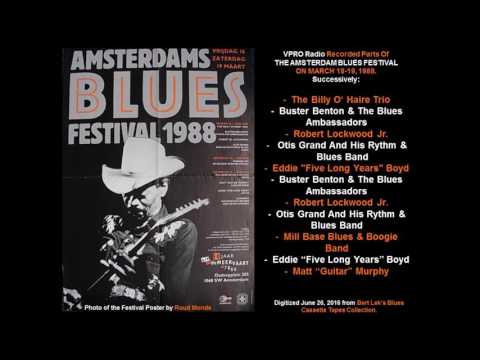 Amsterdam Bluesfestival 1988, An Impression
