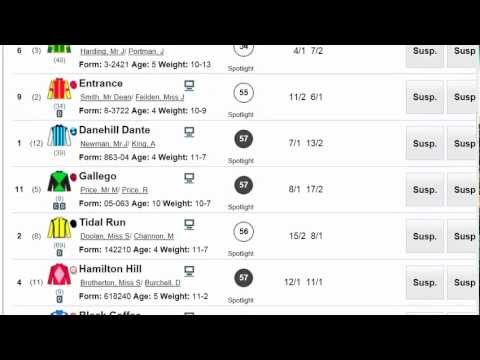 Newbury  Horse racing  1m 2f.