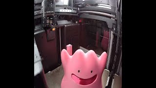 8 Hour Ditto Pokemon in 30 Second Timelpase