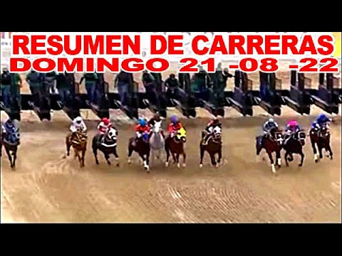 |🐎 RESUMEN DE CARRERAS ,DOMINGO 21 DE AGOSTO,  EN EL HIPÓDROMO ,LA RINCONADA.