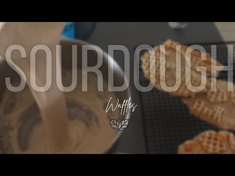 Breakfast, Lunch and Dinner SOURDOUGH Waffles