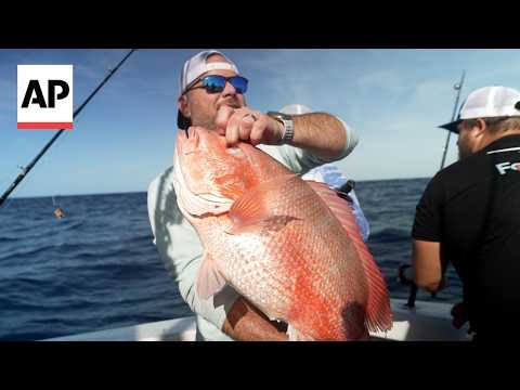 A fish fight off Florida tests Trump’s drive to deregulate America’s seas