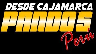 PANDOS PERÚ - SOLEDAD (PRIMICIA 2014)