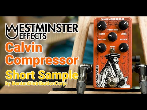 Westminster Effects Calvin Compressor image 2