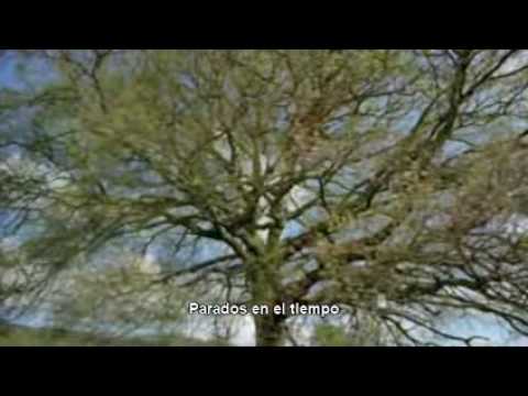 Small (subtitulada) - Queen + Paul Rodgers