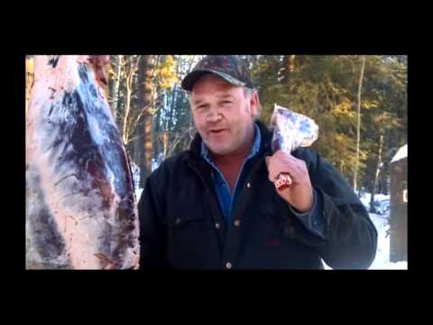 Billy Bob Teeth Canadian Timberwolf Christmas Feast