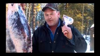 Billy Bob Teeth Canadian Timberwolf Christmas Feast