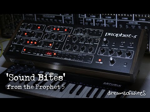 'Sound Bites' - Sequential Circuits Prophet 5 Rev4 Desktop polyphonic analogue synth
