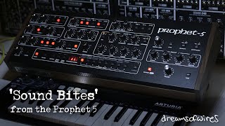 Sequential Circuits Prophet 5 Rev 4 Desktop - What To Know & Where