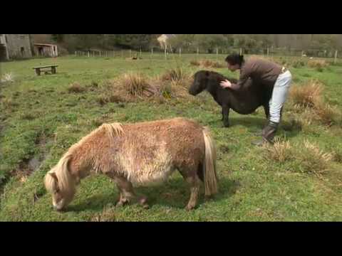 download lagu mp3 mp4 Vacances Solo, download lagu Vacances Solo gratis, unduh video klip Vacances Solo