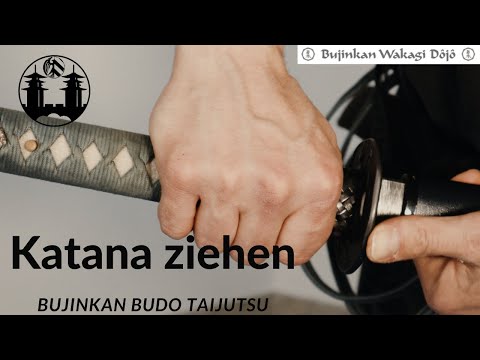Learn martial arts. How to draw a katana? Bujinkan Budo Taijutsu