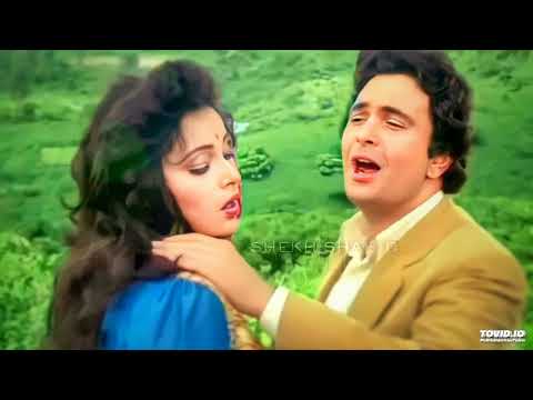 Tu Neendon Ki Rani Aur Main Pyaar Ka Sapna❣️((Love)) Honeymoon ll Anuradha Paudwal, Udit Narayan