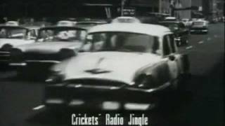 Buddy Holly Radio Jingle ("Everyday")