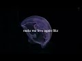 Summer Walker CPR Instrumental Cover With Lyrics Karaoke