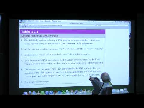 #17 BB 350 DNA Replication II/Transcription I - Kevin Ahern's Biochemistry Online