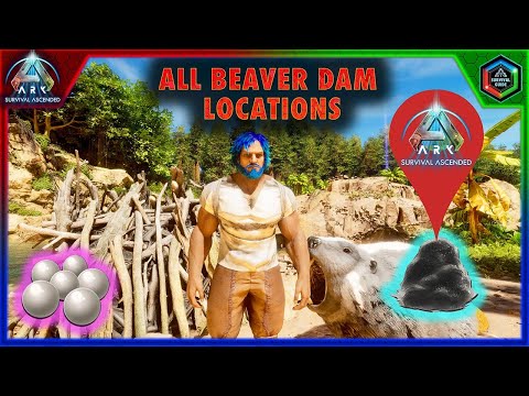 All Beaver Dam Locations in Ark Survival Ascended The Island Map