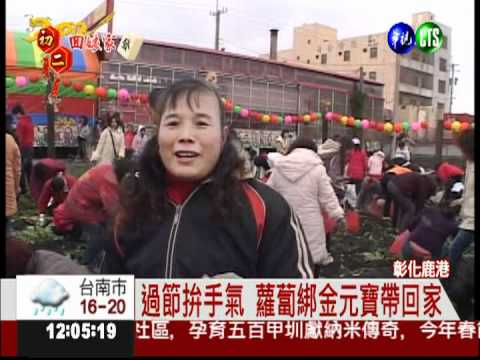 年節試手氣! 蘿蔔綁元寶隨你拔