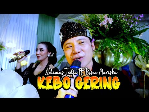 KEBO GERING - DHIMAS TEDJO Ft. Risca Moriska NEW CAHYO MUDHO FIRMAN & TALITHA PULOGADUNG 0.01.2024