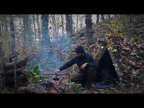 BUILD PRIMITIVE BUSHCRAFT SHELTER | 2 DAY SOLO CAMP | WILD CAMPING