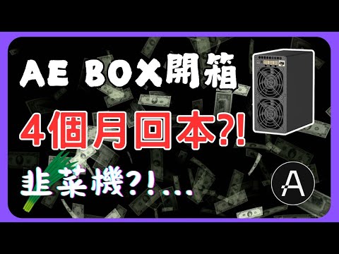 AE BOX開箱！4個月回本 or 淪為韭菜機？！ #AEBOX #ALEO