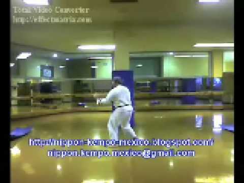 KIHON NO YON SENSEI BEZANILLA