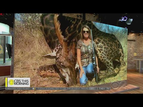 殺死長頸鹿的美國女子說這是保護工作的一部分。 (American Woman Who Killed Giraffe Says It Was Part Of A Conservation Effort)