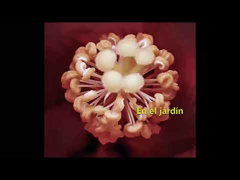 05   Ga'aguim (Yotam Silberstein)