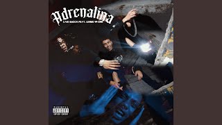 Download lagu Adrenalina mp3