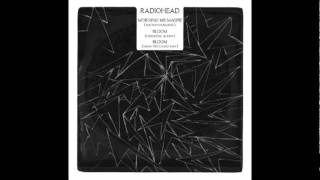 Radiohead - Bloom (Mark Pritchard RMX)