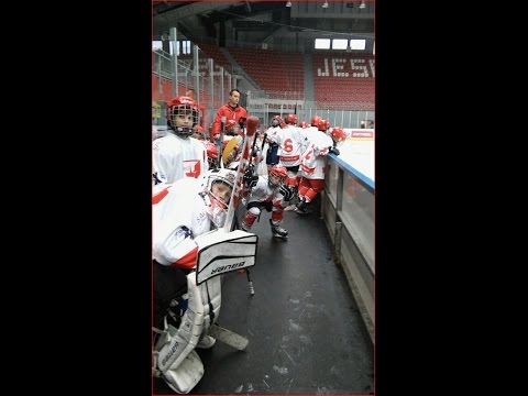 1. okt 2016: HK Jesenice - Crvena zvezda 2-3 (3. trećina)