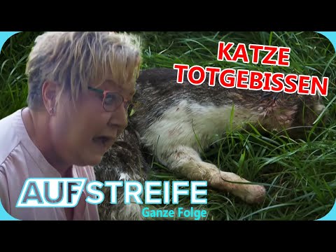 Alarm in der Stadt: Gefährlicher Hund läuft Amok! | Auf Streife - Ganze Folge | SAT.1