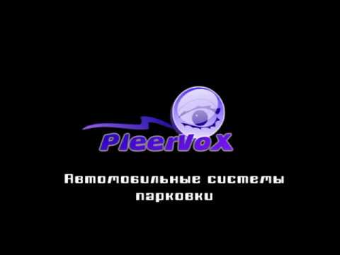 Камера заднего вида Pleervox Avangard