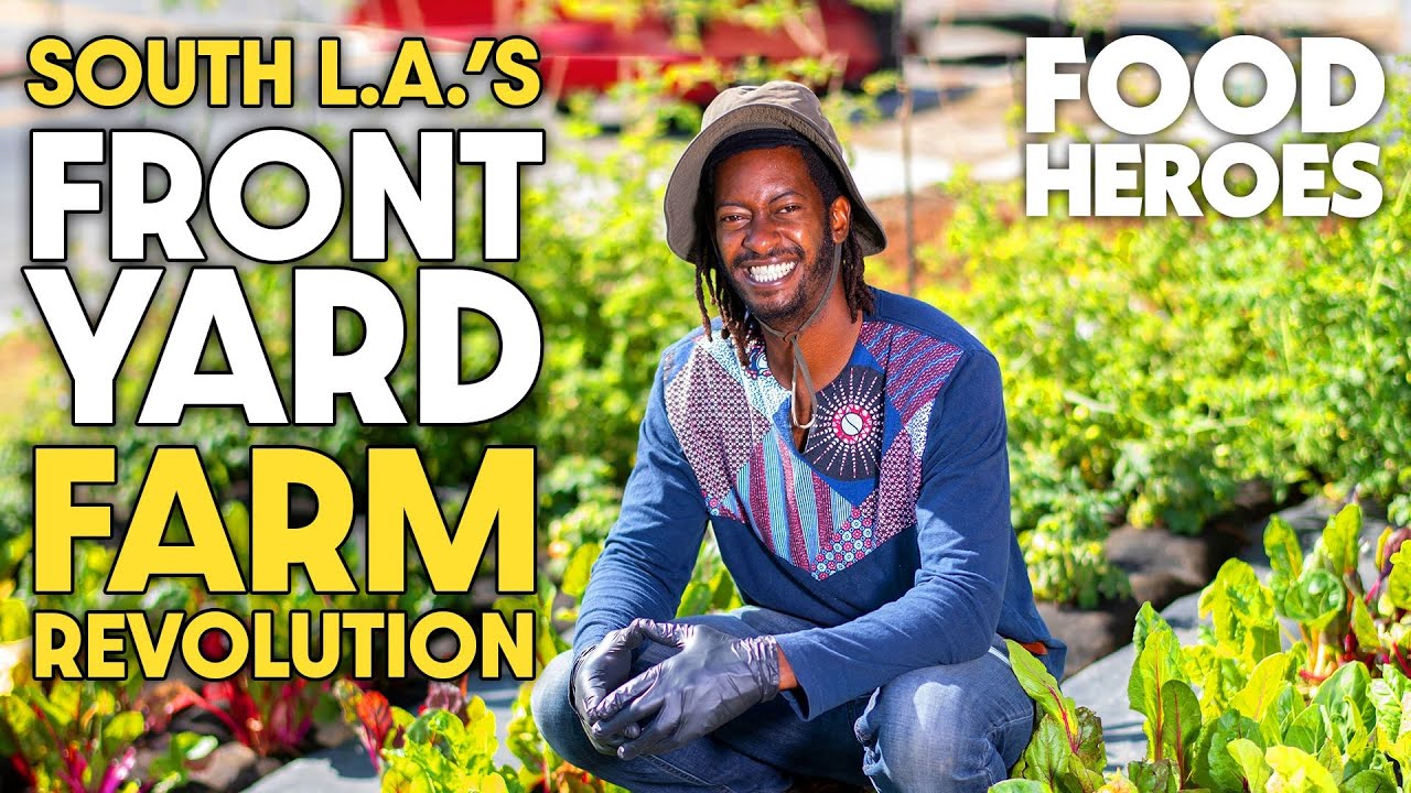 How South L.A.'s Front Lawn Farm Movement is Fighting Food Insecurity
