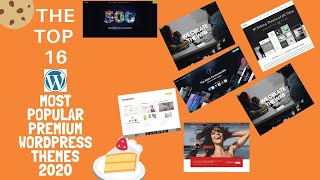 Top 16 Most Popular Premium WordPress Themes 2020