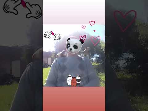 🇦🇷🐹🦜#LaCruz #LaCrvz #Corrientes #Argentina #ave #cobayo #litoral #año2024 #mascotas #bird #bicho