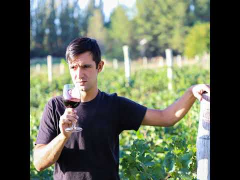 NICOLAS DE LA TORRE - BODEGA DES DE LA TORRE (Chos Malal, Neuquén)