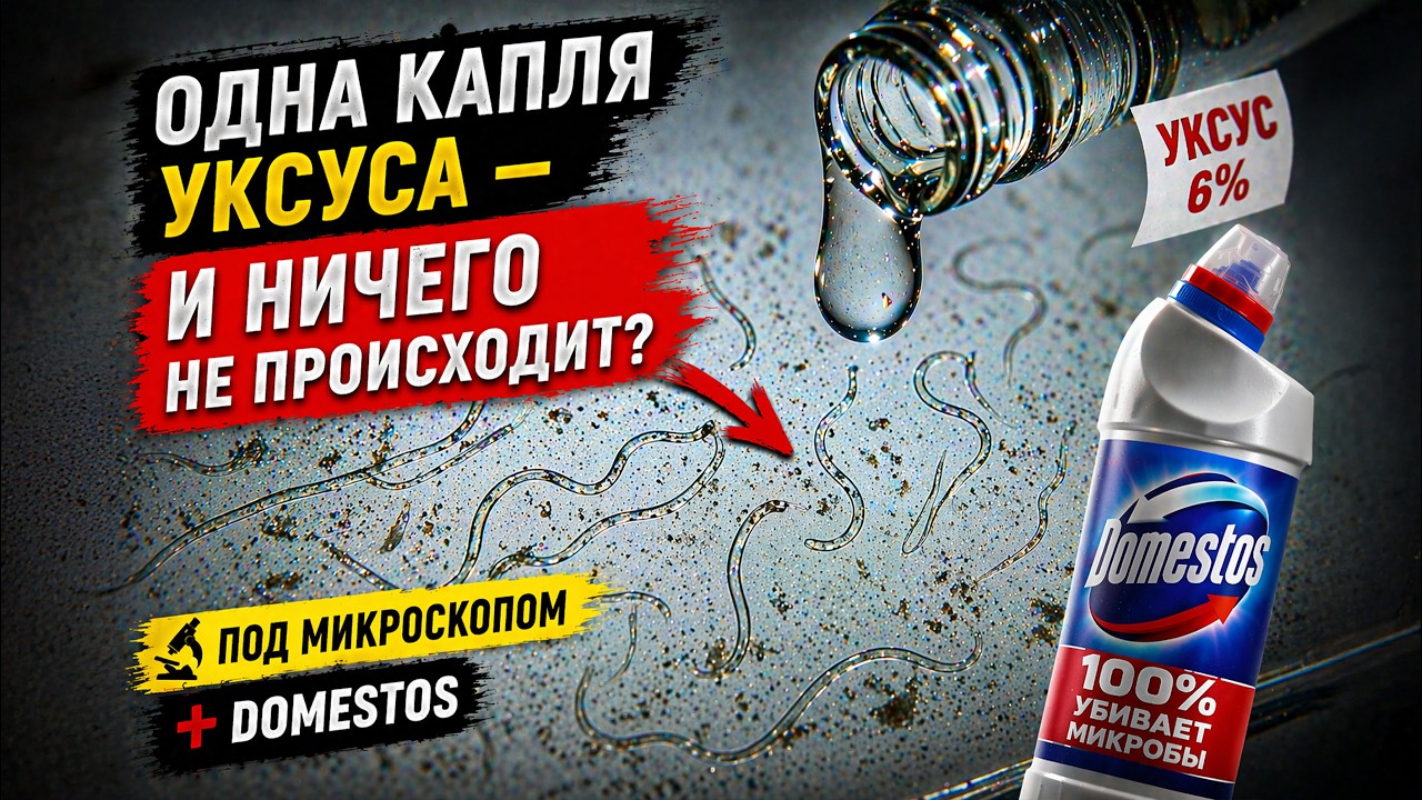 ОДНА КАПЛЯ УКСУСА — И НИЧЕГО НЕ ПРОИСХОДИТ? 😳 ПОД МИКРОСКОПОМ